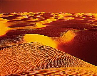 Jaleco街机游戏《幽灵》7月28日登陆现代主机