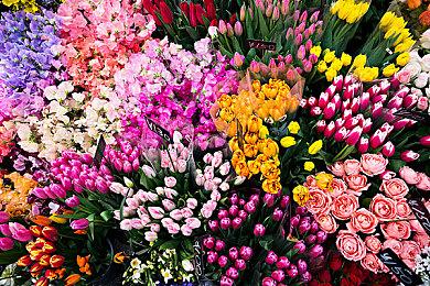 《刀剑神域 碎梦边境》坦克角色艾基尔预告公开